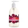 Seventh Generation Natural Hand Wash, Black Currant & Rosewater, 12 Oz Pump Bottle - SEV22946EA -Alpine shop 253362